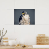 24x18 Peregrine Falcon langs de Hudson rivier Poster (Keuken)
