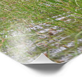 24x18 Ventilatorfoto van de molen Foto Afdruk (Hoek)