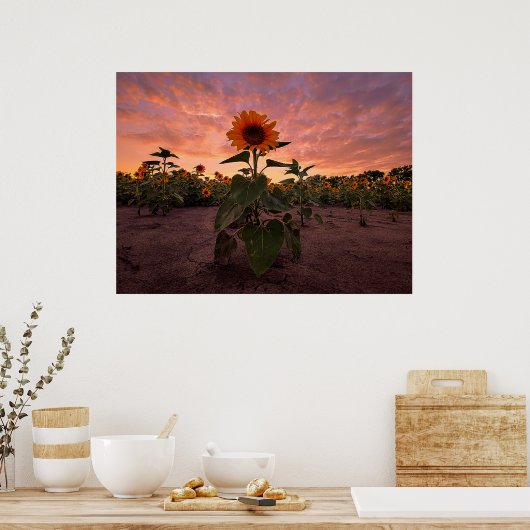 24x18 Wand Poster (Keuken)