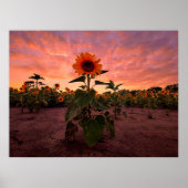 24x18 Wand Poster (Voorkant)