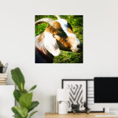 24x24 matte poster. Geitje. Personaliseren! Poster (Thuiskantoor)