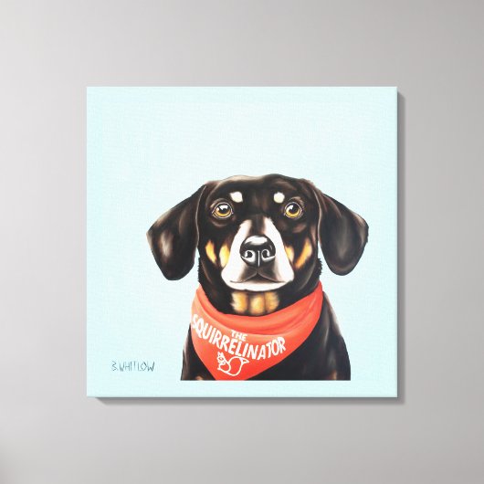 24x24 Sokken de Dachshund Canvas Afdruk (Voorkant)