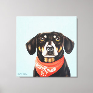 24x24 Sokken de Dachshund Canvas Afdruk