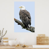 24x36 Poster papier (steen) van adelaars (Keuken)