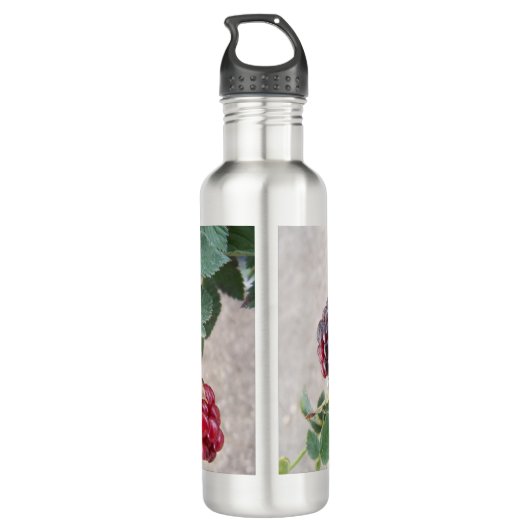 2502 Blackberries Waterfles (Achterkant)