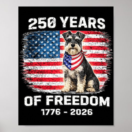 250 Jaar Amerika Herdenking Miniature Schnauzer Poster (Voorkant)