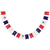 250ste Jubileum VS Patriottische vlaggen Banner (Alle)