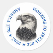 250ste verjaardag USA 2026 Steenarend Ronde Sticker (Voorkant)