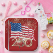 250ste verjaardag van Amerika met Sparklers Papieren Bordje (Feest)