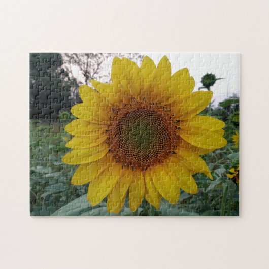 252 Piece Puzzle Featuring a Bold Sunflower Photo Legpuzzel (Horizontaal)