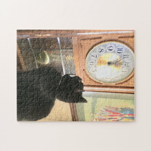 252 stuk puzzel (Horizontaal)