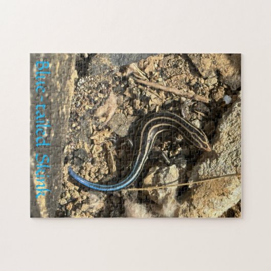 252 stuk puzzel (Horizontaal)