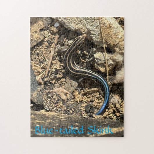 252 stuk puzzel (Verticaal)