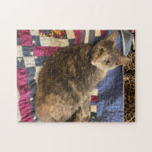 252 stuk puzzel (Horizontaal)