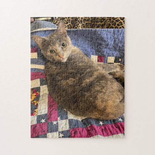 252 stuk puzzel (Verticaal)