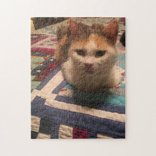 252 stuk puzzel (Verticaal)