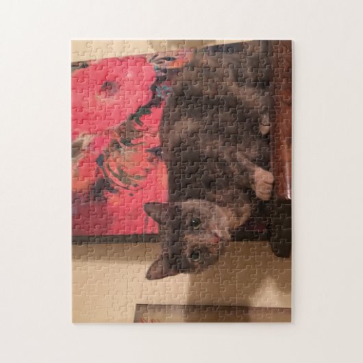 252 stuk puzzel (Verticaal)