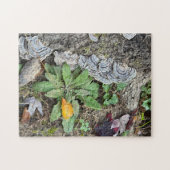 252 stuk puzzel (Horizontaal)