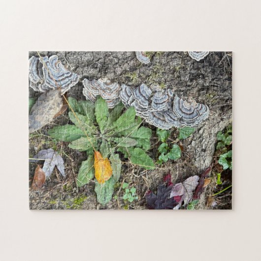 252 stuk puzzel (Horizontaal)