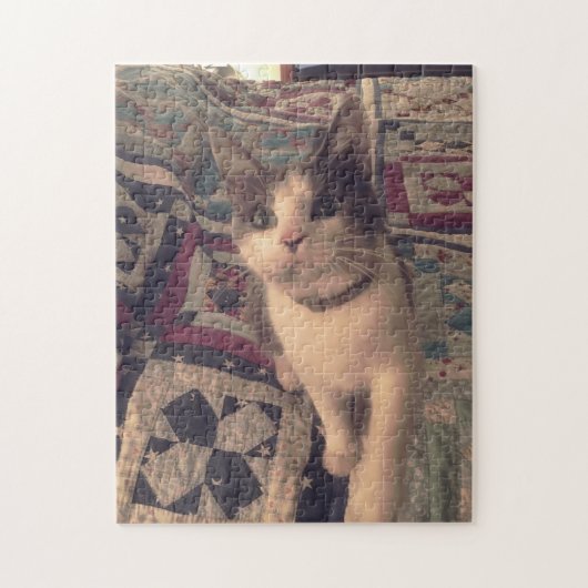 252 stuk puzzel (Verticaal)