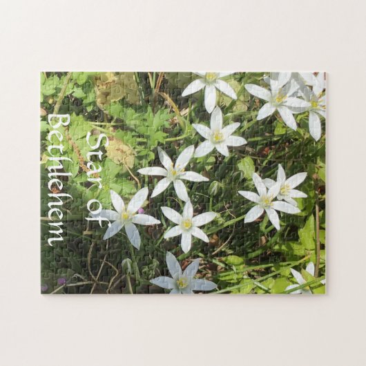 252 stuk puzzel legpuzzel (Horizontaal)