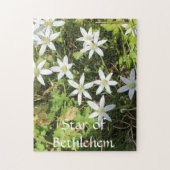 252 stuk puzzel legpuzzel (Verticaal)