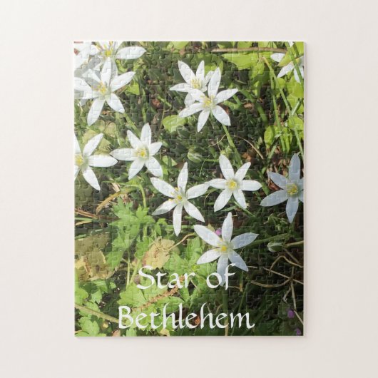 252 stuk puzzel legpuzzel (Verticaal)