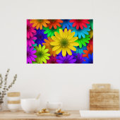 257153 BRIGHT COLORFUL DAISY FLOWERS ACHTERGRONDEN POSTER (Keuken)