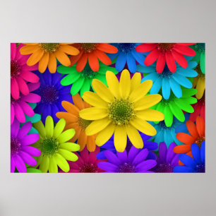 257153 BRIGHT COLORFUL DAISY FLOWERS ACHTERGRONDEN POSTER