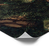 25. 老 白 図, 若 冲 Pine-tree & Phoenix, Jakuchu Poster (Hoek)