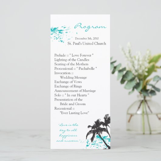 25 4x9 Beach Water Ocean Splash Programmakaart (Staand voorkant)