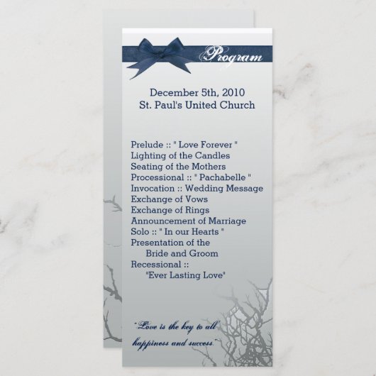 25 4x9 bruiloft programma Frosted glas gekraakte M Programmakaart (Voorkant / Achterkant)