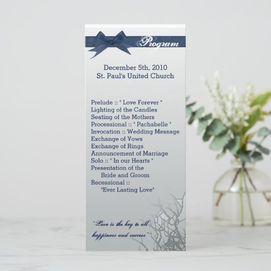 25 4x9 bruiloft programma Frosted glas gekraakte M Programmakaart (Staand voorkant)