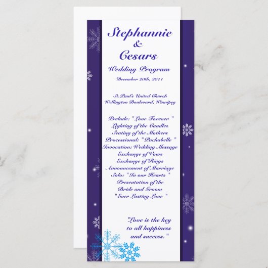 25 4x9 bruiloft programma witte sneeuw vlokken programmakaart (Voorkant / Achterkant)