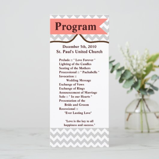25 4x9 huwelijksprogramma Modern Chevron Stripe Co Programmakaart (Staand voorkant)