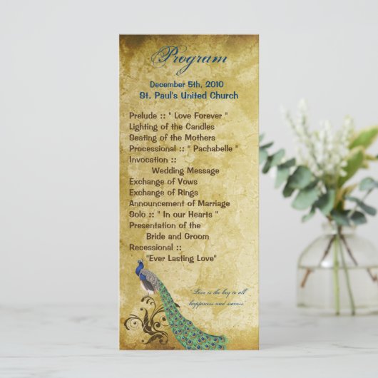 25 4x9 Huwelijksprogramma Peacock  Veren Programmakaart (Staand voorkant)