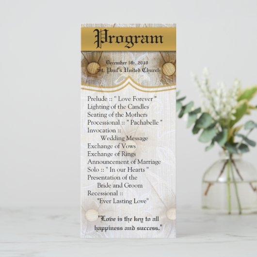 25 4x9 huwelijksprogramma Pintuck Fabric Tayl Programmakaart (Staand voorkant)