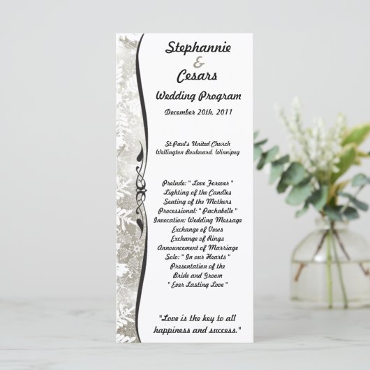 25 4x9 Huwelijksprogramma Zilveren Kerst Vervagen Programmakaart (Staand voorkant)