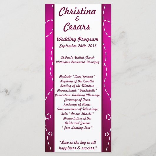 25 4x9 Trouwprogramma Papier Plane Paarse Loop Pur Programmakaart (Voorkant)