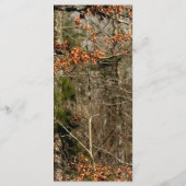 25 4x9 Wedding Program Hunting Deer Doe Buck Camo Programmakaart (Achterkant)