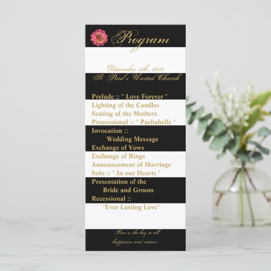 25 4x9 Wedding Programma Modern Stripe Black White Programmakaart (Staand voorkant)