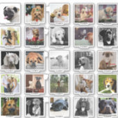 25 AANGEPASTE DOG ADVENT CALENDAR FOTOS NAAM STICKER (Voorkant)