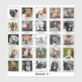 25 AANGEPASTE DOG ADVENT CALENDAR FOTOS NAAM STICKER (Vel)