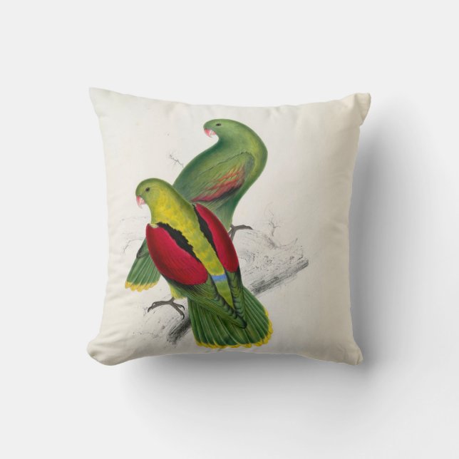#25-Crimson-winged parrakeet paar Kussen (Voorkant)