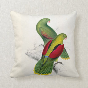 #25-Crimson-winged parrakeet paar Kussen