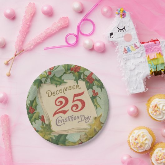 25 december kerstdag papieren bordje (Feest)