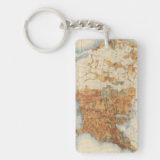 25 Dichtheid van de bevolkingsgroei, VS, 18901900 Sleutelhanger (Voorkant)