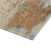 25 Dichtheid van de bevolkingsgroei, VS, 18901900 Snijplank (Hoek)
