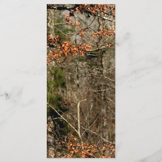 25 Menu Kaarten Jagen Herten Buck Head Camo (Achterkant)