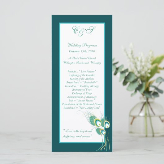 25 moderne Blauwgroen pauw bruiloft programma's (Staand voorkant)